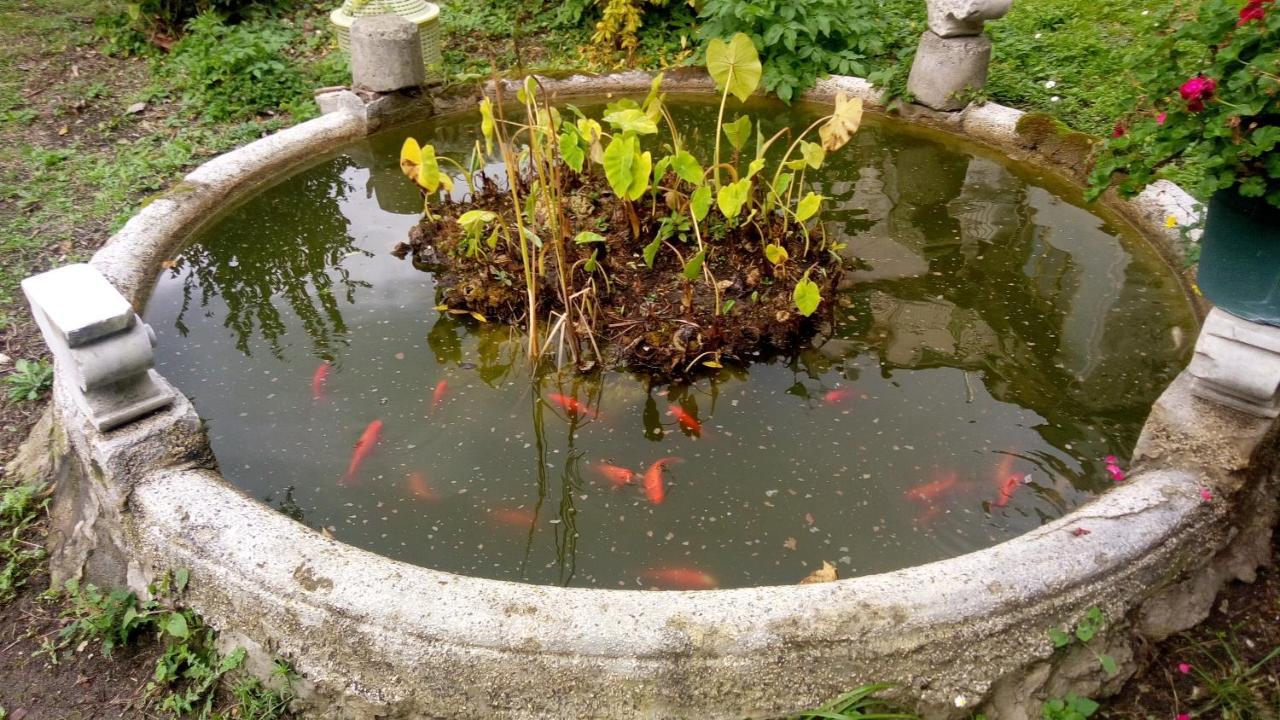Bed and Breakfast L'Antico Giardino Виетри Экстерьер фото